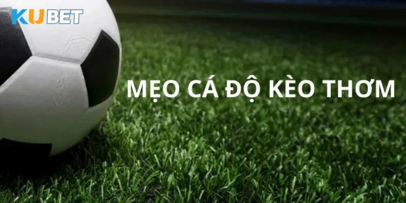 Mẹo cá độ kèo thơm, chiến thuật chọn kèo cá độ hiệu quả