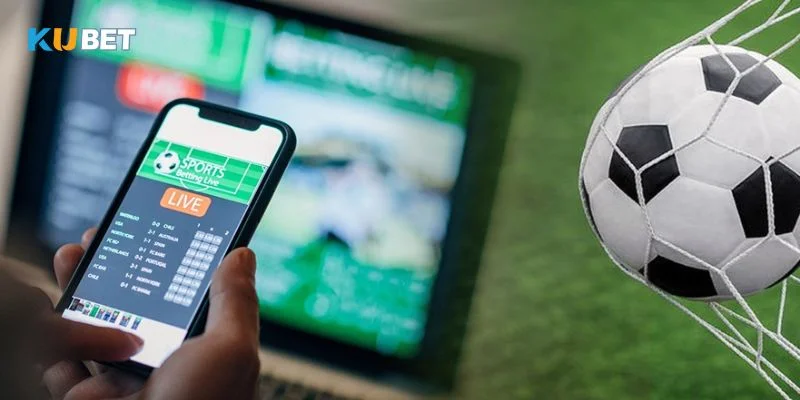 Thuật ngữ cá độ thể thao Kubet dành cho người mới tìm hiểu