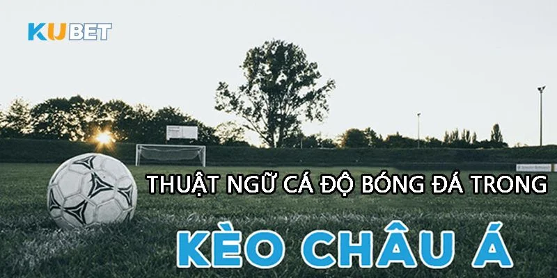 Kèo chấp mở ra cơ hội để tay chơi cược lớn, ăn đậm.